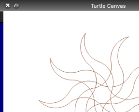 Turtle Canvas